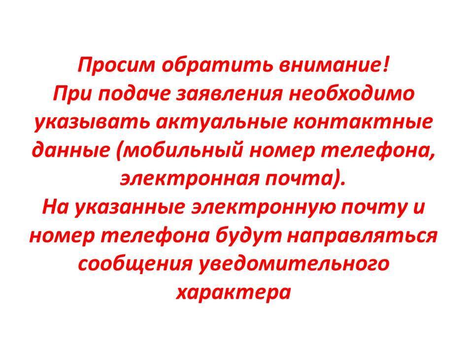 Подача заявления и просмотр очереди